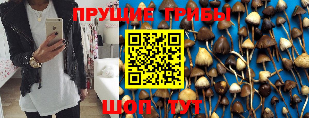 Псилоцибиновые грибы Cubensis Мирный