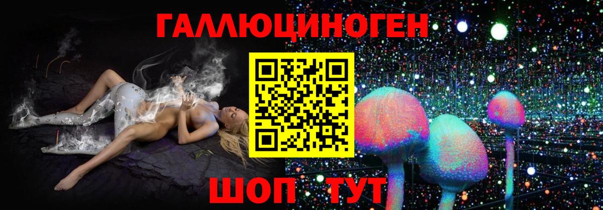 Галлюциногенные грибы Cubensis  Вход с VPN  Мирный 