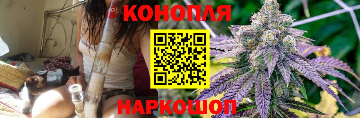 Бошки марихуана марихуана Мирный